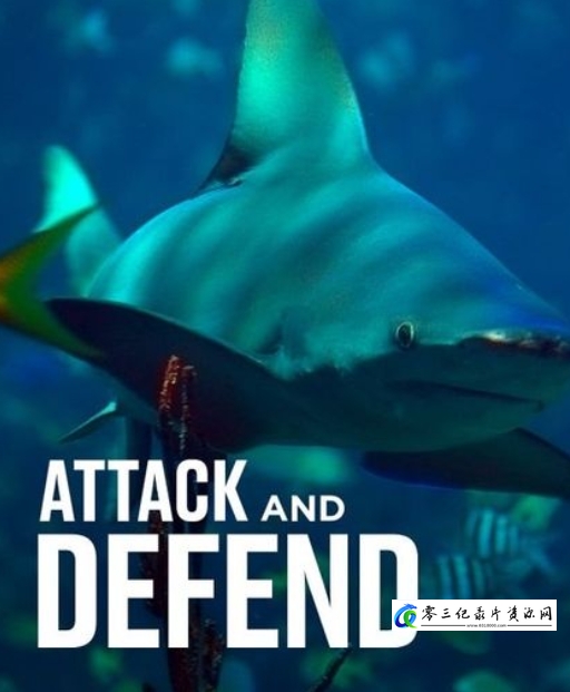 自然纪录片《袭击和抵御 Attack and Defend》下载-零三纪录片资源网