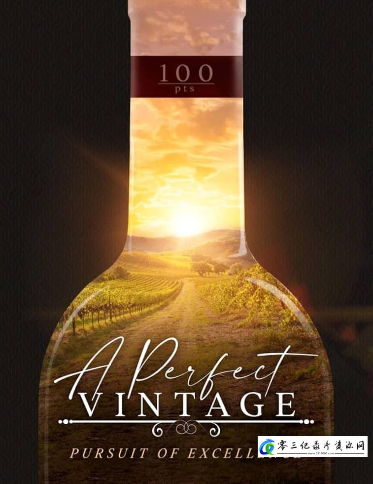 美食纪录片《完美的年份 A Perfect Vintage》下载-零三纪录片资源网