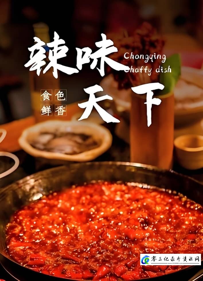 美食纪录片《辣味天下 Chongqing Choffy Dish》下载-零三纪录片资源网