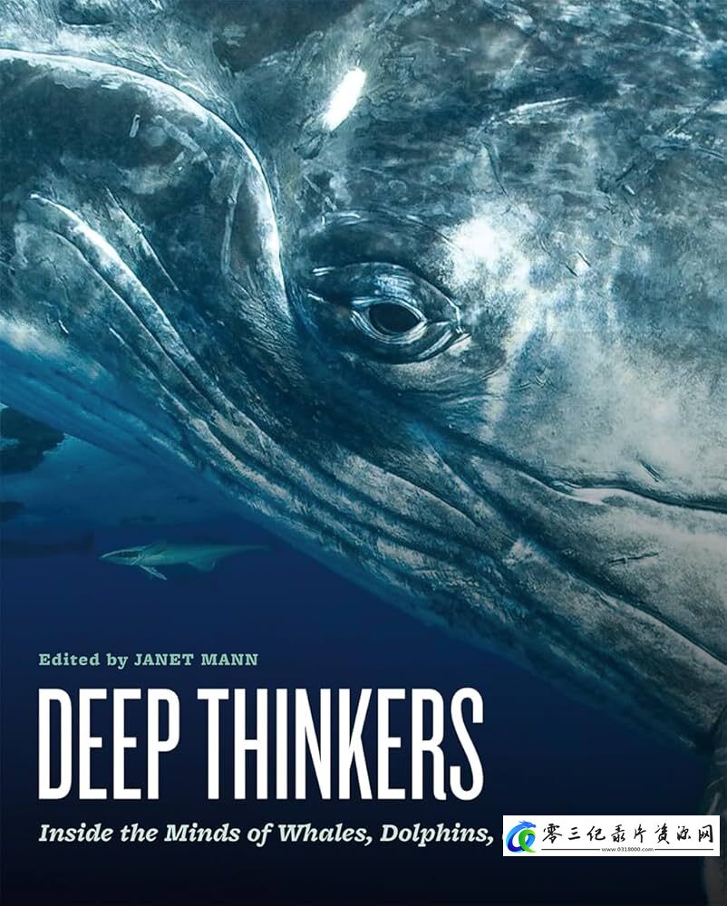自然纪录片《聪明的海豚 Dolphins-Deep Thinkers》下载-零三纪录片资源网