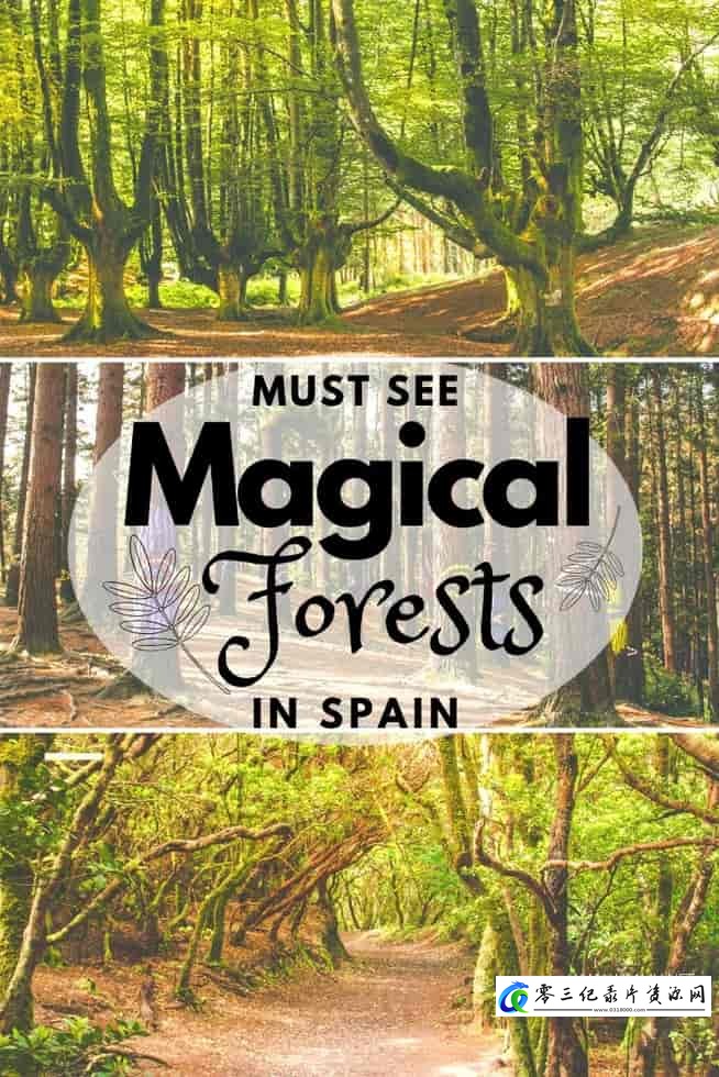 人文地理纪录片《西班牙的神奇森林 The Magic Forest of Spain》下载-零三纪录片资源网