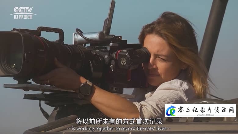 纪录片《大猫全实录 Big Cats 24/7》下载-零三纪录片资源网