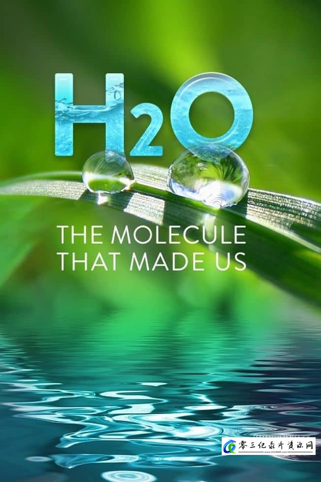 科学纪录片《H2O：造就我们的分子 H2O: The Molecule That Made Us》下载-零三纪录片资源网