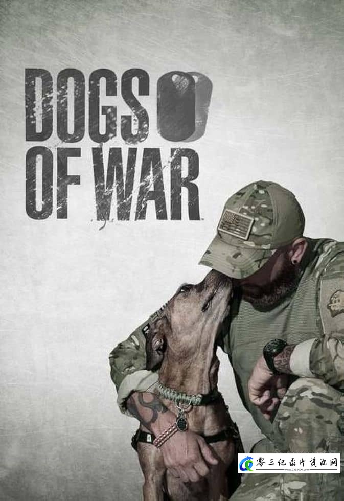 社会生活纪录片《战后应激疗愈犬 Dogs of War》下载-零三纪录片资源网