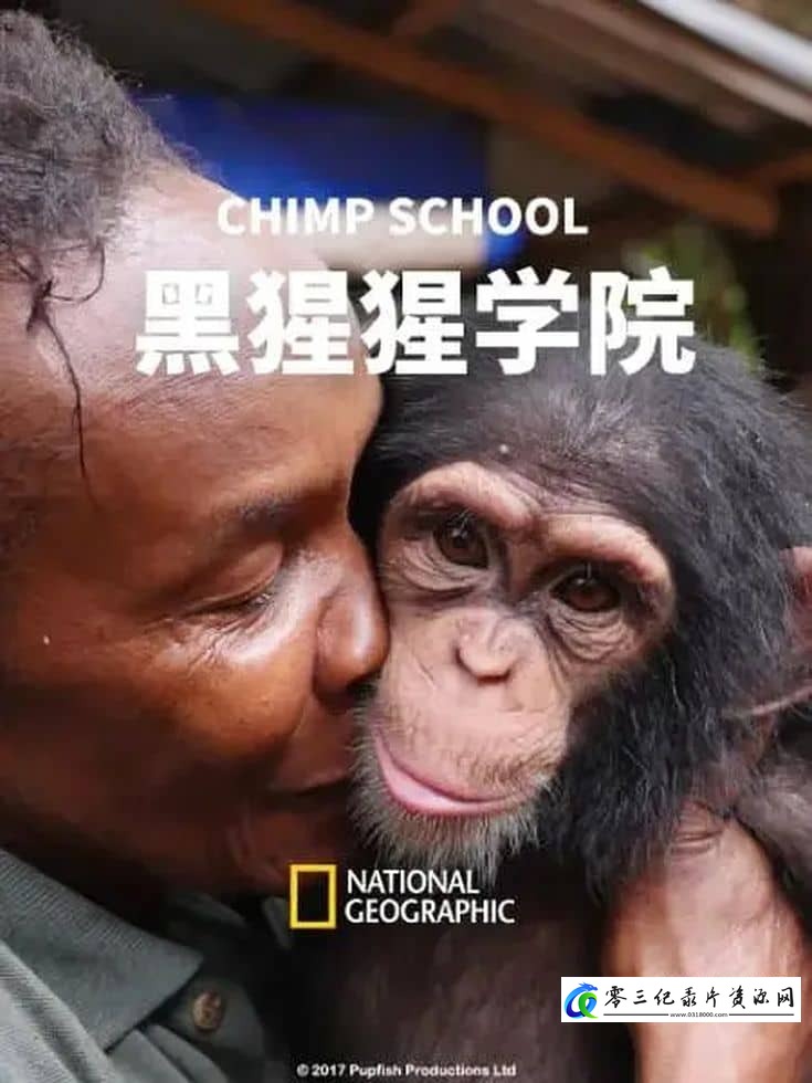 自然纪录片《黑猩猩学院 Chimp School》下载-零三纪录片资源网