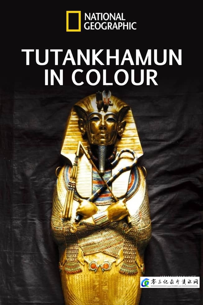 探索纪录片《全彩少年法老 King Tut in Color》下载-零三纪录片资源网