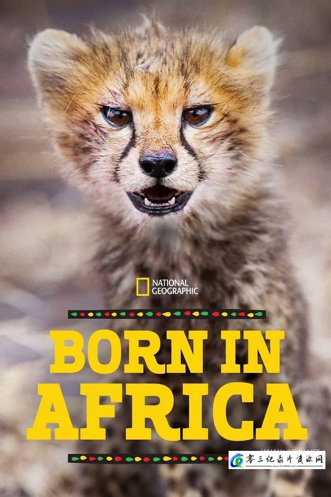 自然纪录片《非洲原野育成记 Born In Africa》下载-零三纪录片资源网