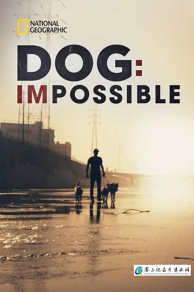真人秀&舞台纪录片《狗：不可能 Dog: Impossible》下载-零三纪录片资源网