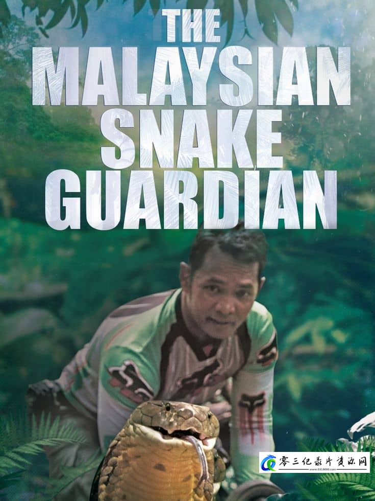 马来西亚蛇类守护者 The Malaysian Snake Guardian的海报