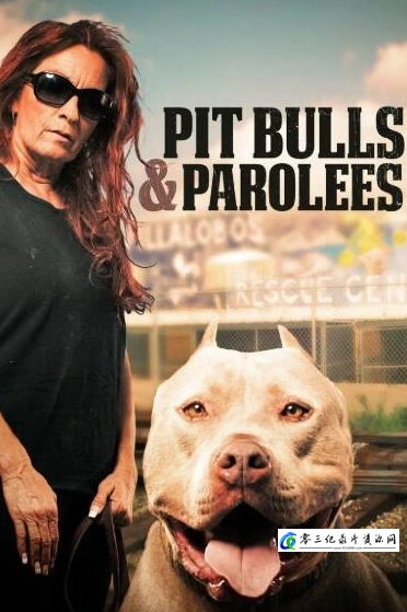 真人秀&舞台纪录片《狗儿救援迎新生 第7季  Pit Bulls and Parolees》下载-零三纪录片资源网