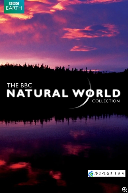 自然纪录片《大象洞穴 Elephant Cave》下载-零三纪录片资源网