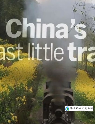 历史纪录片《中国最后的小火车 Autentic China's Last Little Train》下载-零三纪录片资源网