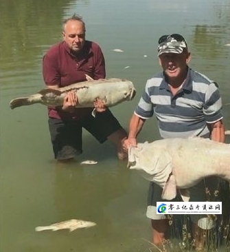 历史纪录片《澳大利亚水战争 Australia's Water Wars》下载-零三纪录片资源网