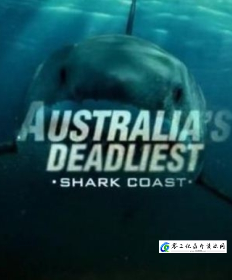 自然纪录片《致命的澳洲鲨鱼海岸 Australia's Deadliest Shark Coast》下载-零三纪录片资源网