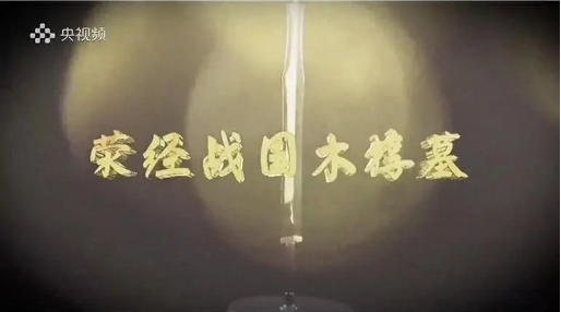 荥经战国木椁墓 2021的海报