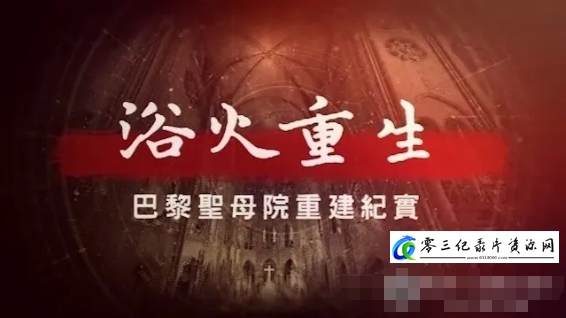 工艺技术纪录片《浴火重生·巴黎圣母院重建纪实:修复拱顶 2024》下载-零三纪录片资源网