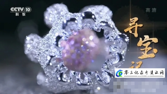 历史纪录片《寻宝记 2021》下载-零三纪录片资源网