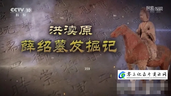 历史纪录片《洪渎原薛绍墓发掘记 2020》下载-零三纪录片资源网