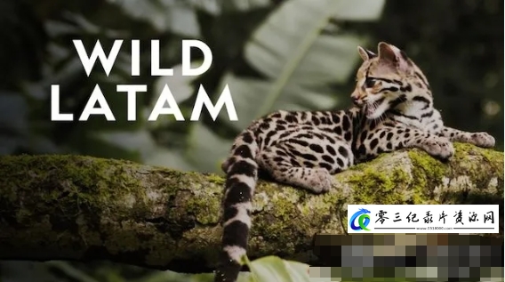人文地理纪录片《野性美洲/南美自然之旅 Wild Latam 2020》下载-零三纪录片资源网