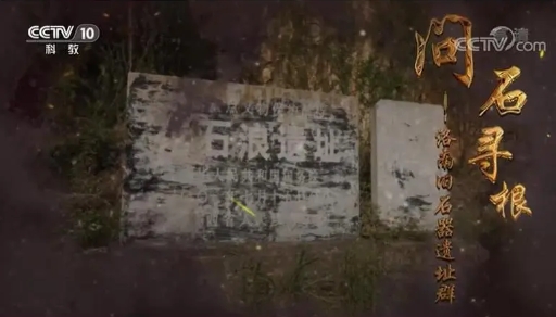 历史纪录片《问石寻根——洛南旧石器遗址群 2021》下载-零三纪录片资源网