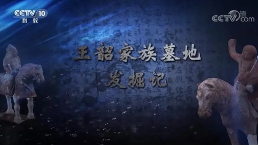 历史纪录片《王韶家族墓地发掘记 2021》下载-零三纪录片资源网