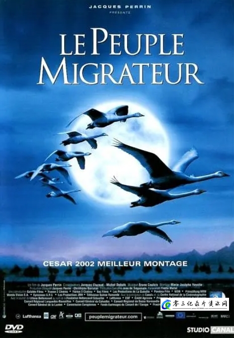 迁徙的鸟2001的海报