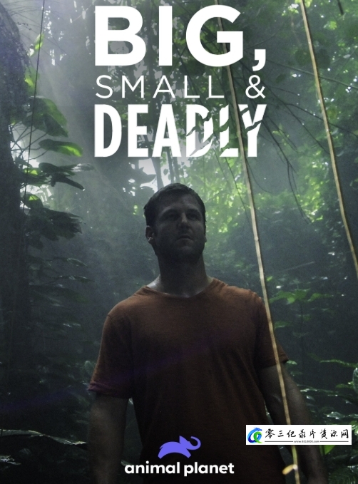 自然纪录片《大的、小的和致命的 Big, Small & Deadly》下载-零三纪录片资源网
