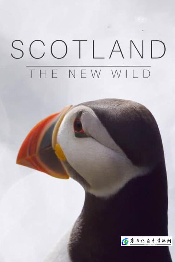 自然纪录片《苏格兰：荒野新生 Scotland：The new Wild》下载-零三纪录片资源网