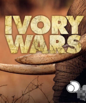自然纪录片《象牙战争 Ivory Wars 2013》下载-零三纪录片资源网