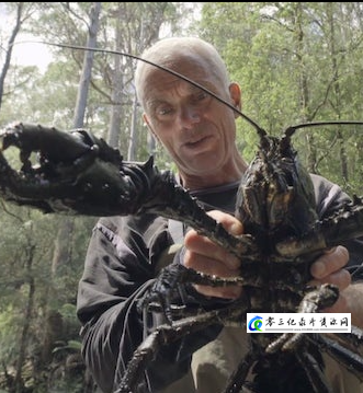 探索纪录片《杰里米·维德 黑暗水域/深水探秘 Jeremy Wade’s Dark Waters 2018》下载-零三纪录片资源网