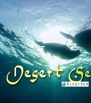探索纪录片《沙漠海洋 Desert Seas 2011》下载-零三纪录片资源网