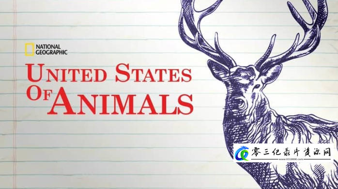 自然纪录片《美国动物百科 United States of Animals》下载-零三纪录片资源网