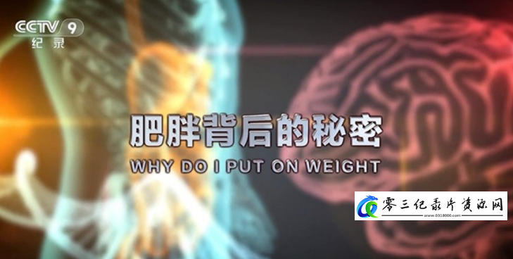 健康&医学纪录片《肥胖背后的秘密 Why Do I Put on Weight? 2019》下载-零三纪录片资源网