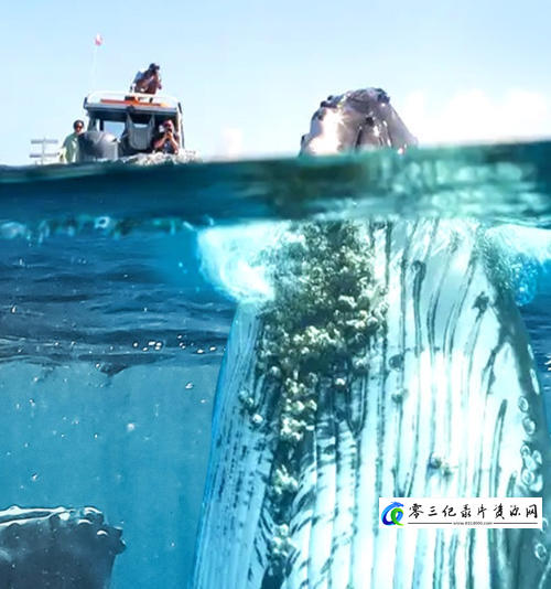 自然纪录片《如果地球上没有陆地 If There Was No Land On Earth》下载-零三纪录片资源网