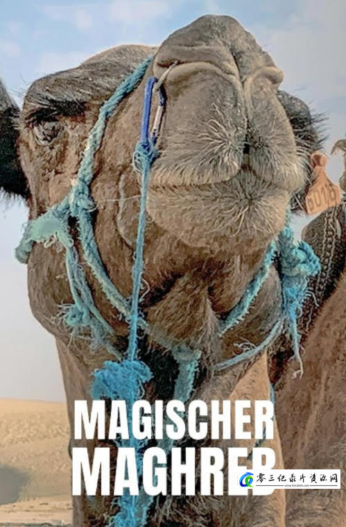 人文地理纪录片《了不起的马格里布/“日落之地”马格里布 Magischer Maghreb 2019》下载-零三纪录片资源网