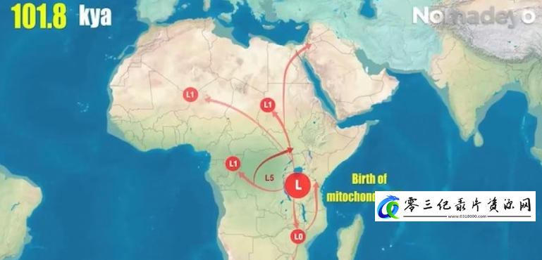 科学纪录片《从mtDNA看人类迁徙 mtDNA Shows How Humans Migrated across the World 2021》下载-零三纪录片资源网