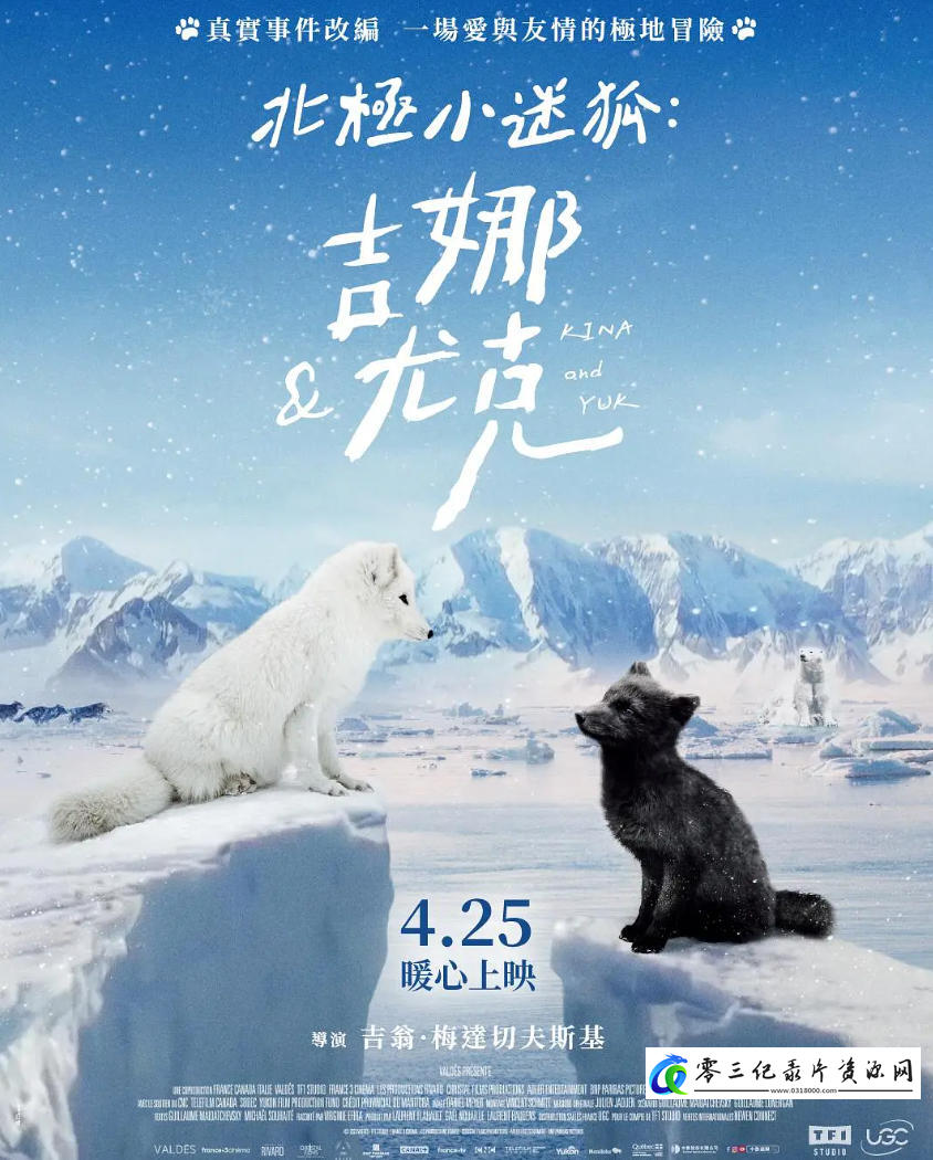 自然纪录片《北极小迷狐吉娜&尤克 Kina & Yuk : renards de la banquise 2023》下载-零三纪录片资源网