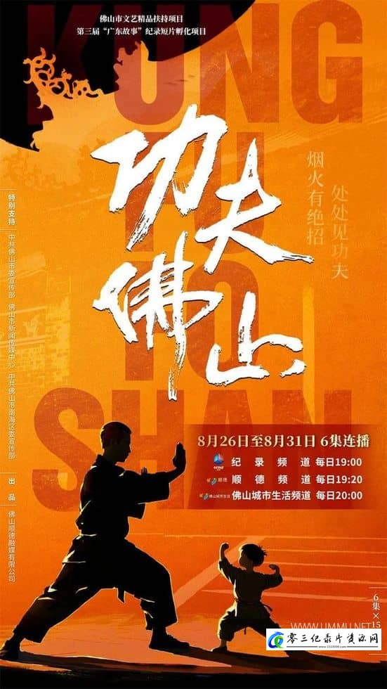 探索纪录片《功夫佛山》下载-零三纪录片资源网