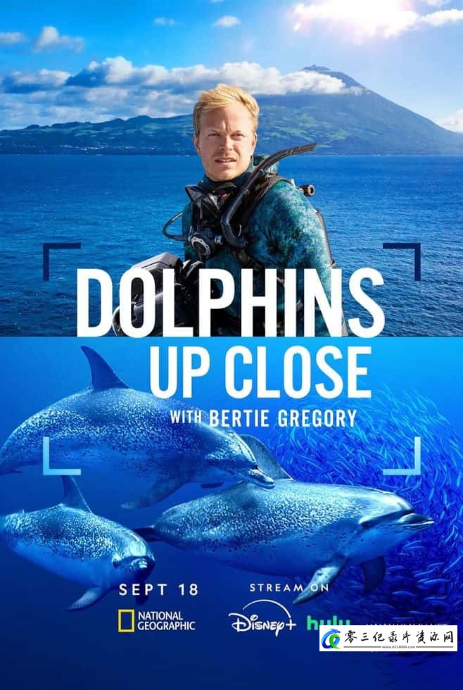 自然纪录片《摄影师贝尔蒂与海豚零距离 Dolphins Up Close with Bertie Gregory》下载-零三纪录片资源网