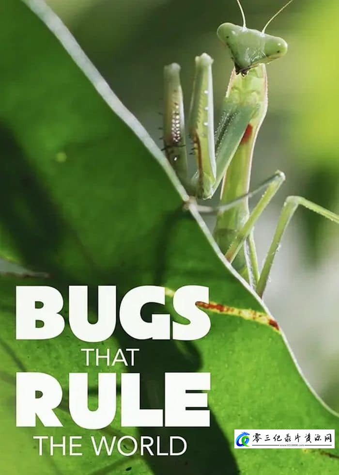 自然纪录片《虫临天下 Bugs That Rule the World》下载-零三纪录片资源网