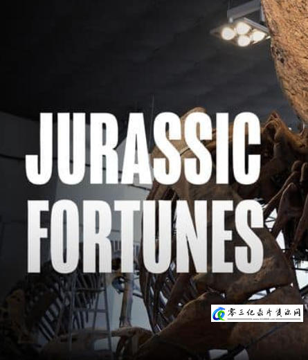 探索纪录片《侏罗纪的财富 Jurassic Fortunes》下载-零三纪录片资源网