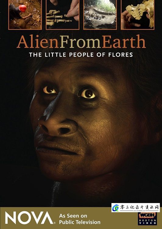 科学纪录片《来自地球的外星人：弗洛勒斯岛的小矮人 Alien from Earth: The Little People of Flores》下载-零三纪录片资源网