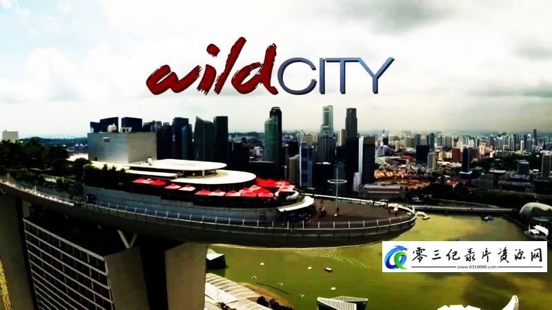 大卫爱登堡的野性城市 David Attenborough's Wild City的海报