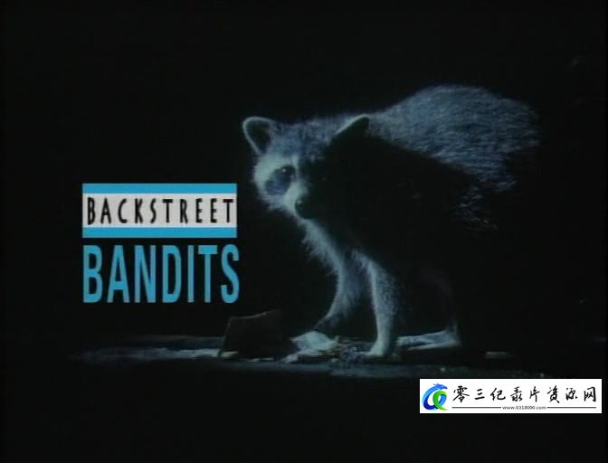 后街土匪 Backstreet Bandits的海报