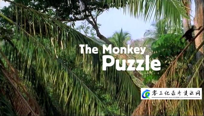 卷尾猴之谜 Capuchins, the Monkey Puzzle的海报