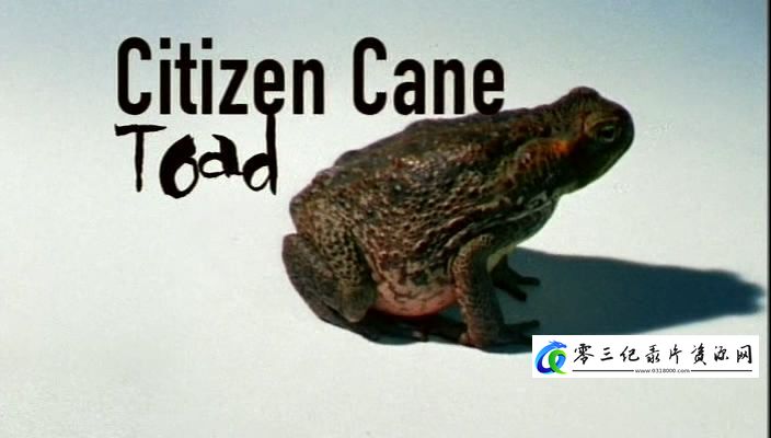 自然纪录片《泛滥澳洲的蔗蟾蜍 Citizen Cane Toad》下载-零三纪录片资源网
