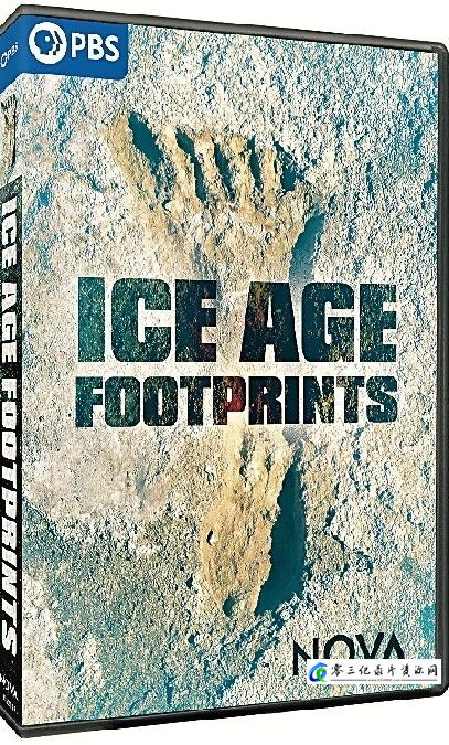 冰河时代的足迹 NOVA: Ice Age Footprints的海报