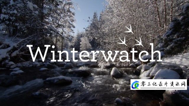 自然纪录片《冬季观察 第十一季 Winterwatch 2023》下载-零三纪录片资源网