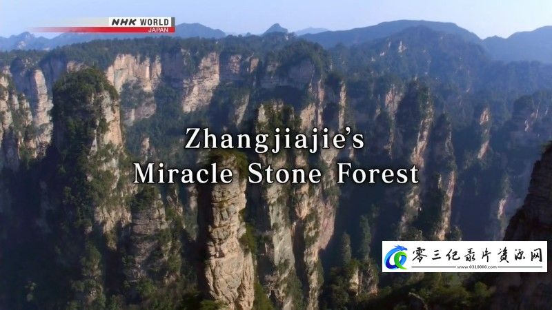 张家界奇迹石林 Zhangjiajie's Miracle Stone Forest的海报
