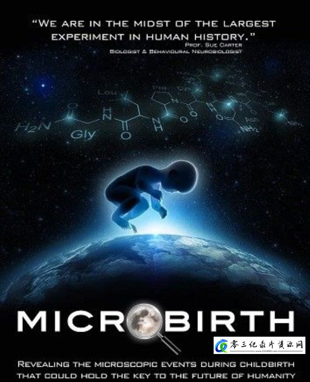健康&医学纪录片《微分娩 Microbirth》下载-零三纪录片资源网